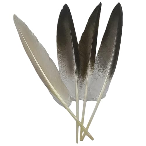 Grey Goose Feathers Natural Craft Feathers Long 8-10 Inch Bulk Feathers for Crafts Hats DIY Wedding Wing Decor Fly Tying Costumes 12Pcs (Grey Goose)