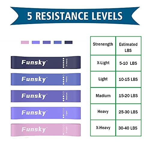 Funsky Resistance Loop Exercise Bands,Mini Workout Bands For Women Fitness Home Gym,Set Of 5 For Legs And Butt Yoga Strength Training Pilates(Purple) #TOP1