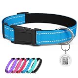 Pawduct Personalized Collar with Smart ID Tag, Medium, Blue