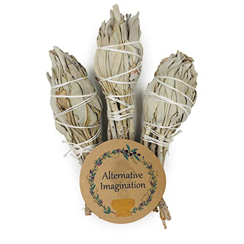 White Sage Smudge Sticks - Pack of 3 Torch Style Bundles - 4" Long - Natural Incense for Spiritual Cleansing, Witchcraft Supplies, Sage Smudge Kit, Spiritual Gifts