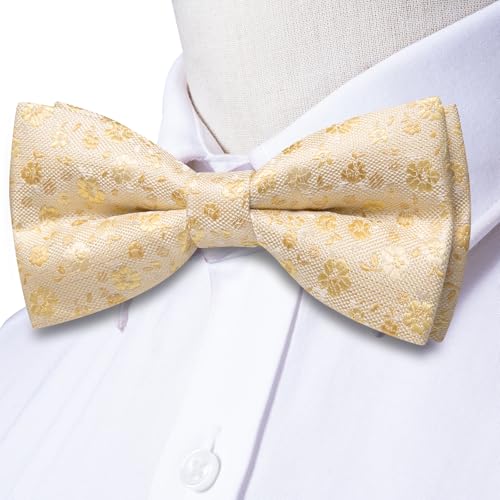 Image of Dubulle Mens Paisley Striped Bowtie Set Pre-tied Bowtie for Men and Pocket Square Set Wedding Business