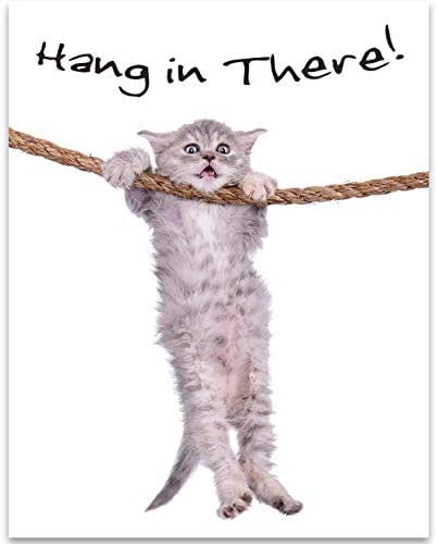 Amazon.com: Hang in There - Adorable Cat Hanging On A Rope 11x14 ...