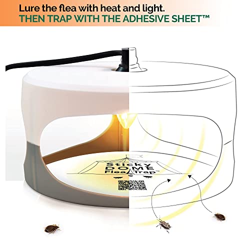 Aspectek HR2311X2 Sticky Dome Flea Trap thumb #3