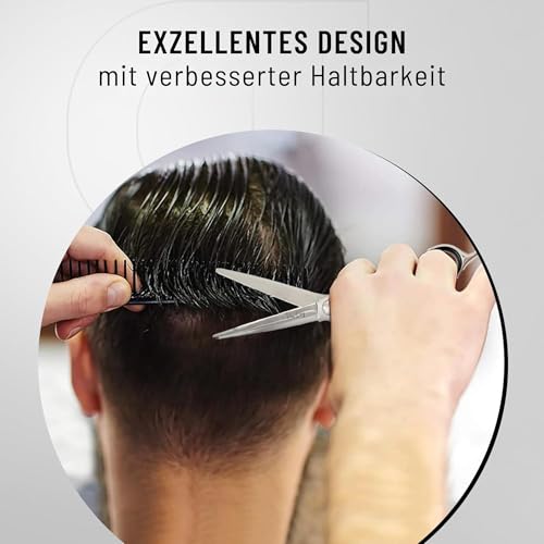 PIUS LANG Profi Friseurschere 6,5 Zoll seit 1852 – Premium Haarschneideschere für Friseurschüler, Einsteiger & gehobene Anwendung zu Hause, konvexe Klingen, Kugellager-Spannsystem + Etui