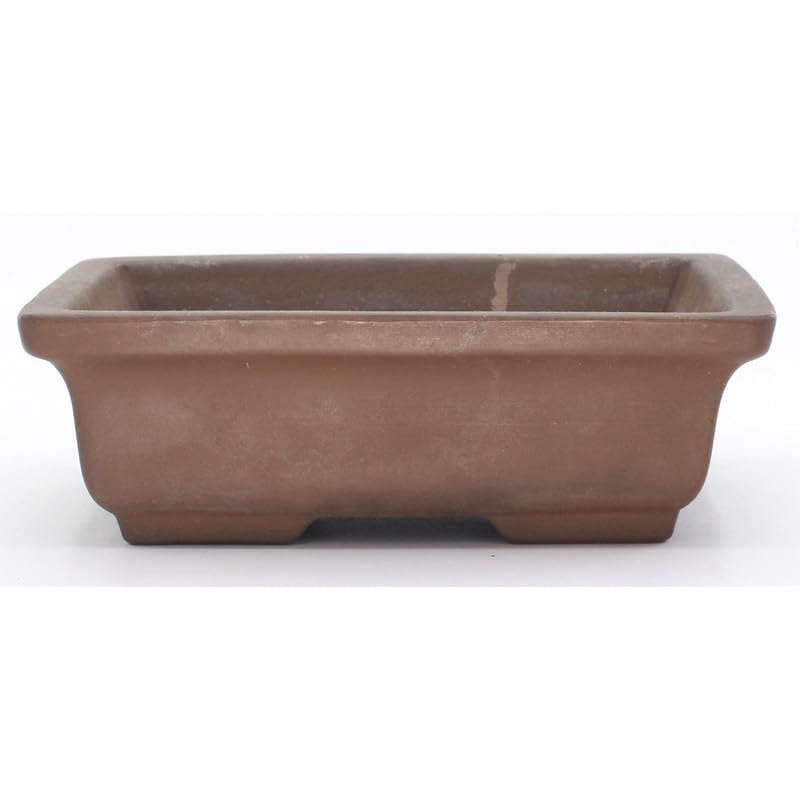 Maceta para Bonsái Colección de Colores Surtidos Perfecta para tu Bonsái - 15cm de largo y 10cm de ancho