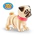 Pets Alive Booty Shakin' Pups (Corgi & Pug) by ZURU, Interactive Mini Dog Toys That Walk, Waggle, and Booty Shake, Electronic Puppy Toy for Kids and Girls (2 Pack)