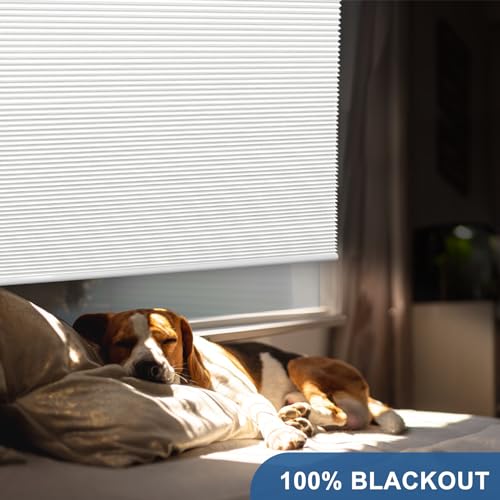 Cordless Cellular Fabric Blinds for Windows and Doors, 32W x 64H inch, White