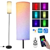 Litake Lampadaire sur Pied Salon, RGBCW Lampes LED Variateur Continu 800lm avec Télécommande & APP Lampadaire Salon Moderne avec Mode DIY et Musical Compatible avec Alexa & Google Home 2500K-9000K
