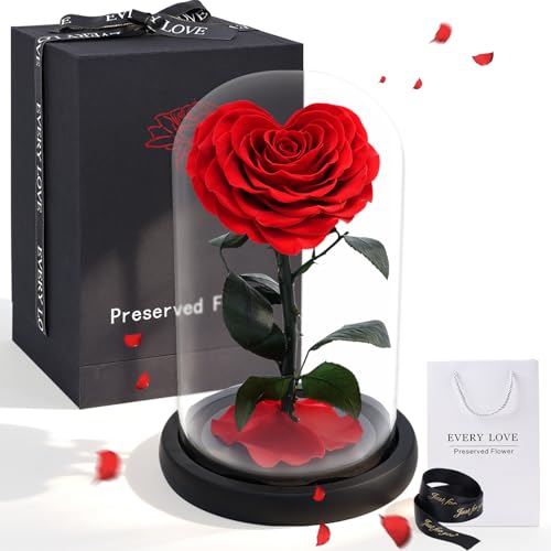 Rosa roja preservada en forma de corazón con cúpula de cristal miniatura 1