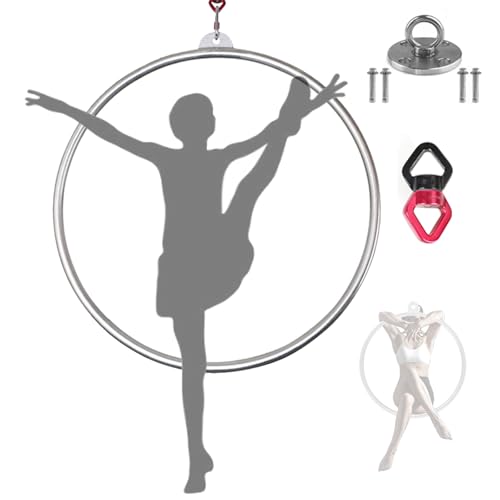 Quixnova Aerial Hoop Kit, Lyra Hoop aus Edelstahl für Erwachsene, Single Point Aerial Dance Zirkusring für Yoga, Akrobatik, Gymnastik, 2,5 cm Rohrdurchmesser,90cm