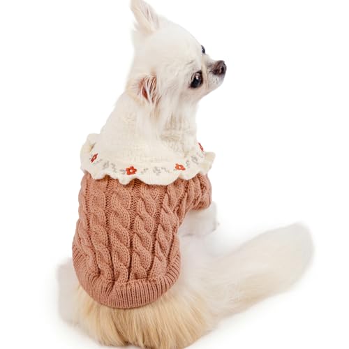 ybgp_CX   ~ oCJ[ jbg sN ^ Rr  ̕ ybg hbOEFA ۉ g h h΍ uh JWA  킢 ycX72XܓWJ2025/10/1_z 