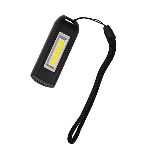 RVS Black Portable Mini Keychain Flashlight 0.5W COB LED Pocket Torch