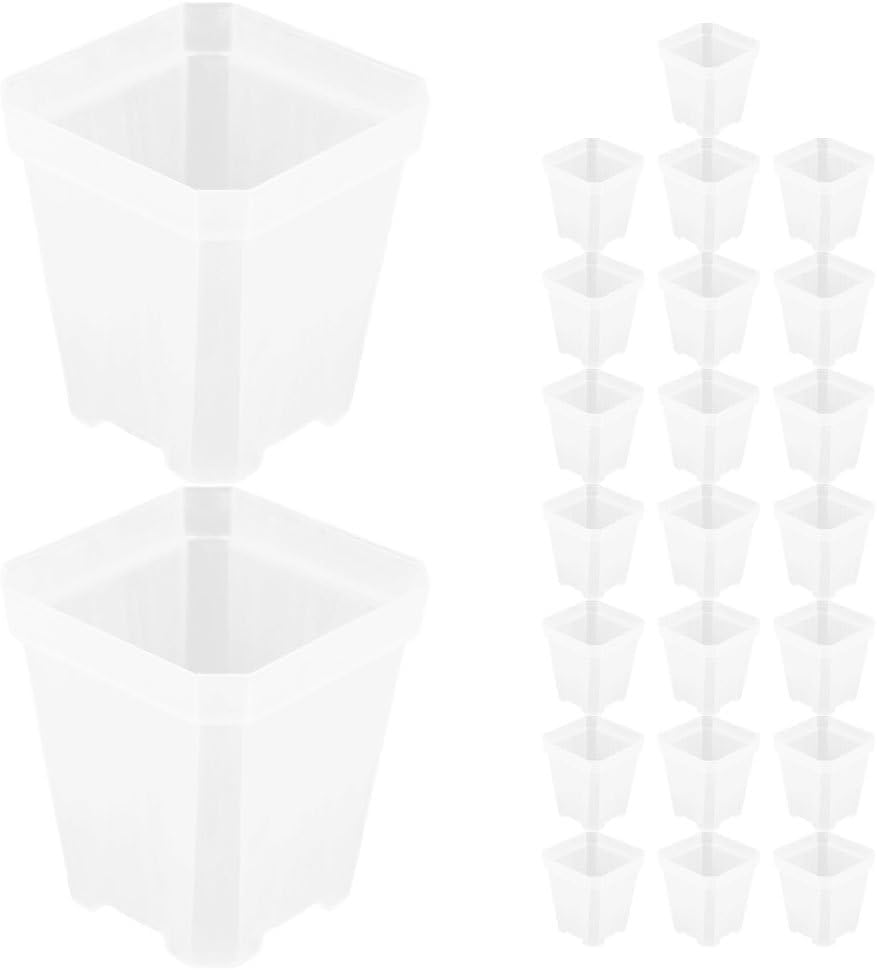 BESPORTBLE 50pcs Clear Plant Pots: Mini Transparent Square Flower Pots - Thick Plastic Planter for Succulents Plants - Nursery Holder for Indoor/Outdoor Decor