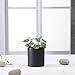 Greenaholics Black Ceramic Plant Pots - 6 Inch + 4.7 Inch Indoor Planters with Drainage Holes for Flowers Small Modern, Set of 2
