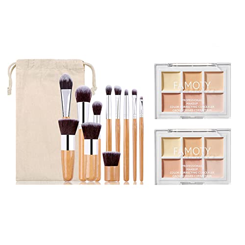 Pure Vie Profesional 6 Colores Kit Paleta Correctores de Maquillaje en Crema, Corrector Marcador, Paleta Correctores Contorneado Perfecto para Uso Profesional Diario + 11 Pinceles de Maquillaje