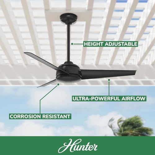 Image of Hunter Trimaran, Outdoor or Indoor, Ceiling Fan, 52 inch, Matte Black