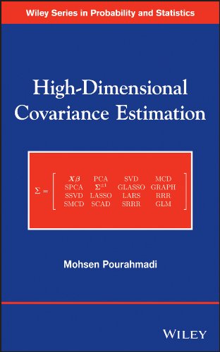 High-Dimensional Covariance Estimation: With High-Dimensional Data (Wiley Series in Probability and Statistics)