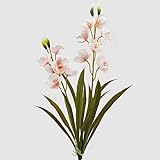 Photo Gallery edg enzo de gasperi orchidea cymbidium real h 59 cm bianco rosa