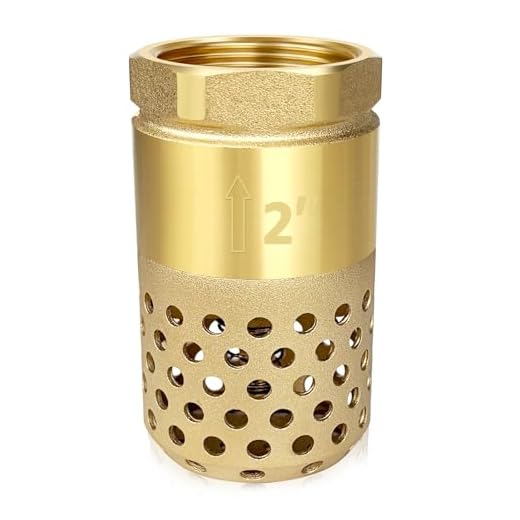 Heavy Duty Brass Foot Valve