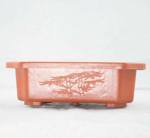 4 Rectangular Dark Orange Plastic Bonsai Training Pots 7"X 5.5"X 2" #TOP6