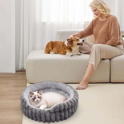 Coussin doux pour chiot en appartement avec rembourrage