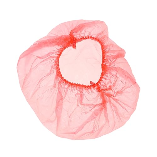 Gogogmee ĝăV[Lbv 100 wAیoXLbv p eTΉ wAPA