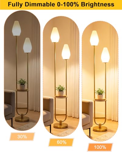 Image of Lightdot 63IN Gold Floor Lamp with Shelf Mid Century Tall Standing Lamps with Rock-Shaped Bulb Included Modern Floor Lamp with 5Lbs Heavy Base for Living Room /Party /Sofa Beside /Corner Decor
