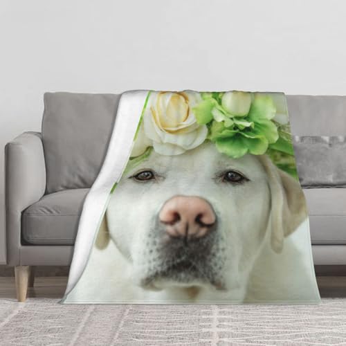 Couverture flanelle Labrador doux plaid lit chaud 152x127 - 2