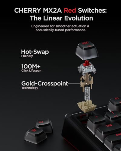 Mechanical Keyboard Wireless Hot-Swappable