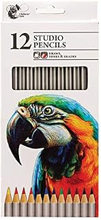 Pack Of 12 Studio Artist Sketching Pencils Draws Tones & Shades Assorted Colours