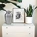 Trupoint Memorials Cremation Urns for Human Ashes, Pewter Decorative Burial Urn for Adult Men & Women, Large Silver