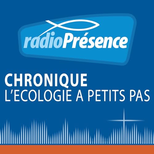 Page de couverture de Les mini centrales hydro&eacute;lectriques