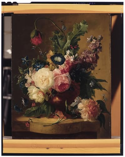 Pintura Lienzo Jan Van Huysum Cuadro Flores para Cubrir Paredes Grandes y Vacías