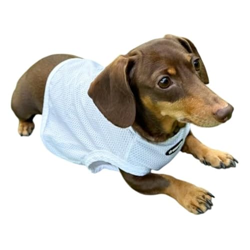 D DOGGY STAR ダックス服 接触冷感 メッシュ クール クロップド タンクトップ ひんやり 小型犬 中型犬 ダックスフンド 夏 ドッギースター (白, XL)