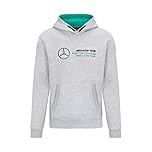 Mercedes AMG Petronas Unisex Hoodie Bag (Pack of 1)