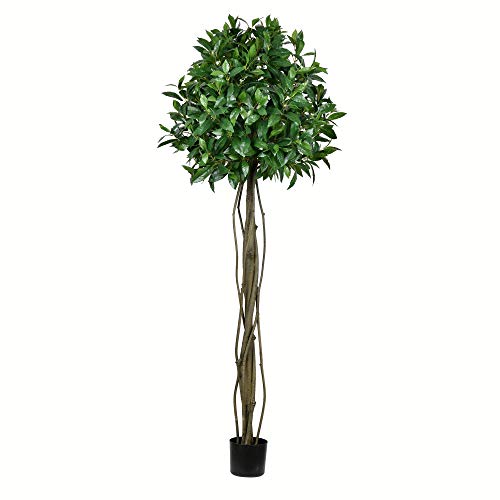 Vickerman Everyday Artificial Bay Leaf Tree 6 Foot Tall - Green Indoor Potted Topiary Tree - Faux Decor for Home Or Office Greenery