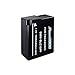 Power2000 ACD-434 Rechargeable Battery for Panasonic DMW-BLC12PP