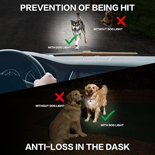 Blbs GD-01 Dog Lights For Night Walking – 50Lm Dog Collar Light, 3 Modes Rechargeable Dog Light, Ip65 Waterproof Dog Walking Light, Dog Flashlight thumb #6