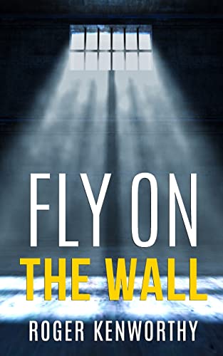 Fly on the Wall: Days of Solitude