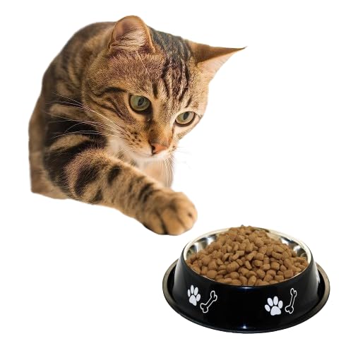 Movson 700ml Stainless Steel Printed Pet Bowl with Non Skid Rubber Bottom Food/Water Bowl for Puppies, Kittens, Rabbits, Dog Premium Safe, Healthy, Rust & Scratch Resistant Bowl (Pack of 2) (B0D2DJ4CGS) Amazon Price History, Amazon Price Tracker