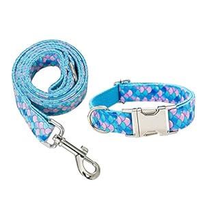 Kisangel 3 Pièces Fournitures pour Animaux C...