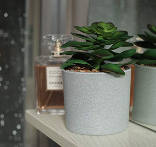 EB Designs Set of 3 Artificial Succulent Plants – Fake Greenery in Grey Pots with Pebbles – Decorative Faux Plants for Home, Office, Indoor & Outdoor Use - Cosy Home Interiors EB Designs Set of 3 Artificial Succulent Plants – Fake Greenery in Grey Pots with Pebbles – Decorative Faux Plants for Home, Office, Indoor & Outdoor Use - Image 6
