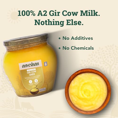 Image of Anveshan A2 Gir Cow Desi Ghee 500ML | Bilona Method | Curd-Churned & Cultured | Pure, Natural & Danedar | Lactose-Free, Gluten-Free | Grass-Fed | Lab Tested | Traditional Desi Ghee