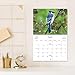 Current 2026 Bird Lovers Wall Calendar, 12-Inch x 9-Inch Size Closed, 18-Inch Size Open, Large Bookstore-Quality, Spiral-Bound Hanging Monthly Wall Calendars for Kitchen & Office