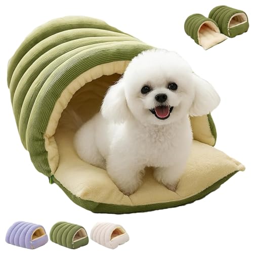 Shnmersy Lbgxbhy2026V^E~pzgLbgnEX Lxbh LpQ ^ ۉ 􂦂 O\ NbV PPRbg LQ 2WAY J h[^ L B xbh p xe H~ ΍