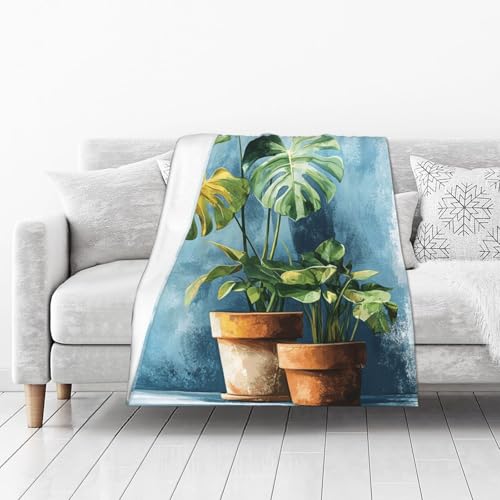 Cafemira Flannel Blanket 50x40