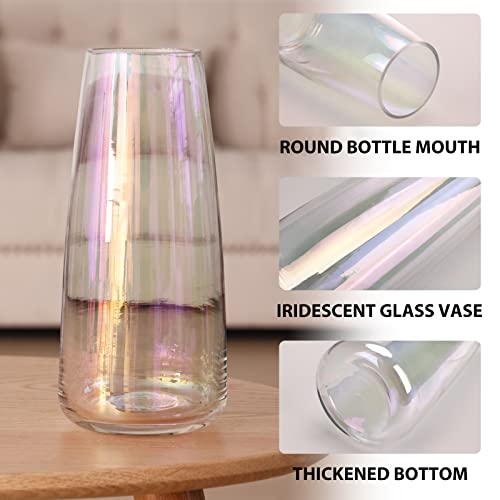 Cucumi Flower Glass Vases 8.7 Inch Large Modern Glass Vase Conical Crystal Vases For Centerpieces Table Home Decor Office Wedding Living Room (Iridescent Clear) #TOP2