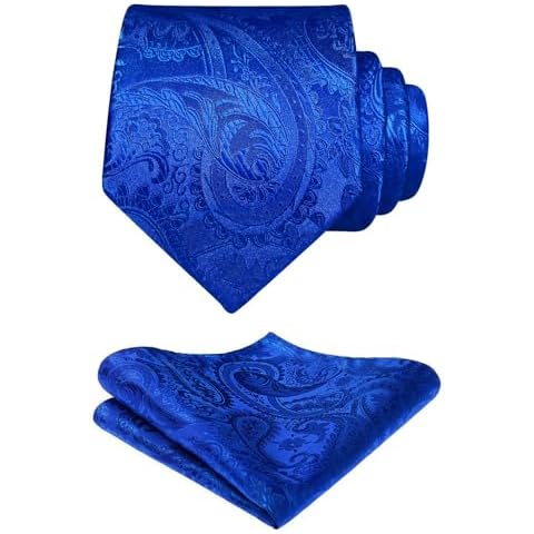 HISDERN Cravate Paisley Soie Cover
