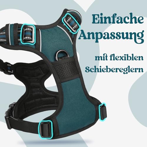 rabbitgoo Hundegeschirr Grosse Hunde, Verstellbare Geschirr Hund ohne Zug & Würgen, Anti Zug hundegeschirr mit Griff, weich Gepolsterte Reflektierende Brustgeschirr, Dunkelgrün L