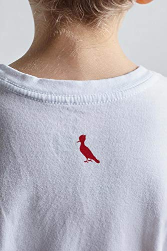 Camiseta Rsv Mini Mesada Ano Novo 2.0
